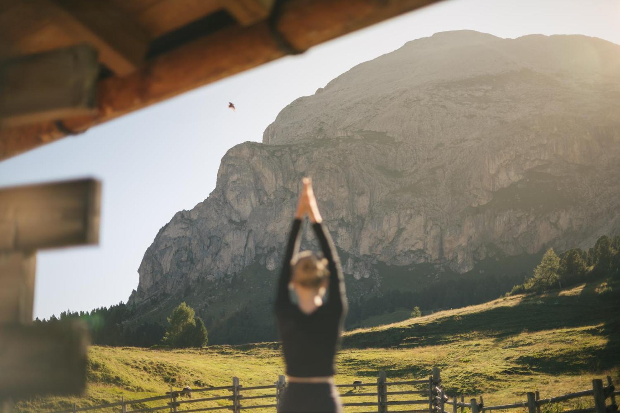 Zallinger Dolomites Alpe Di Siusi Eksteriør billede