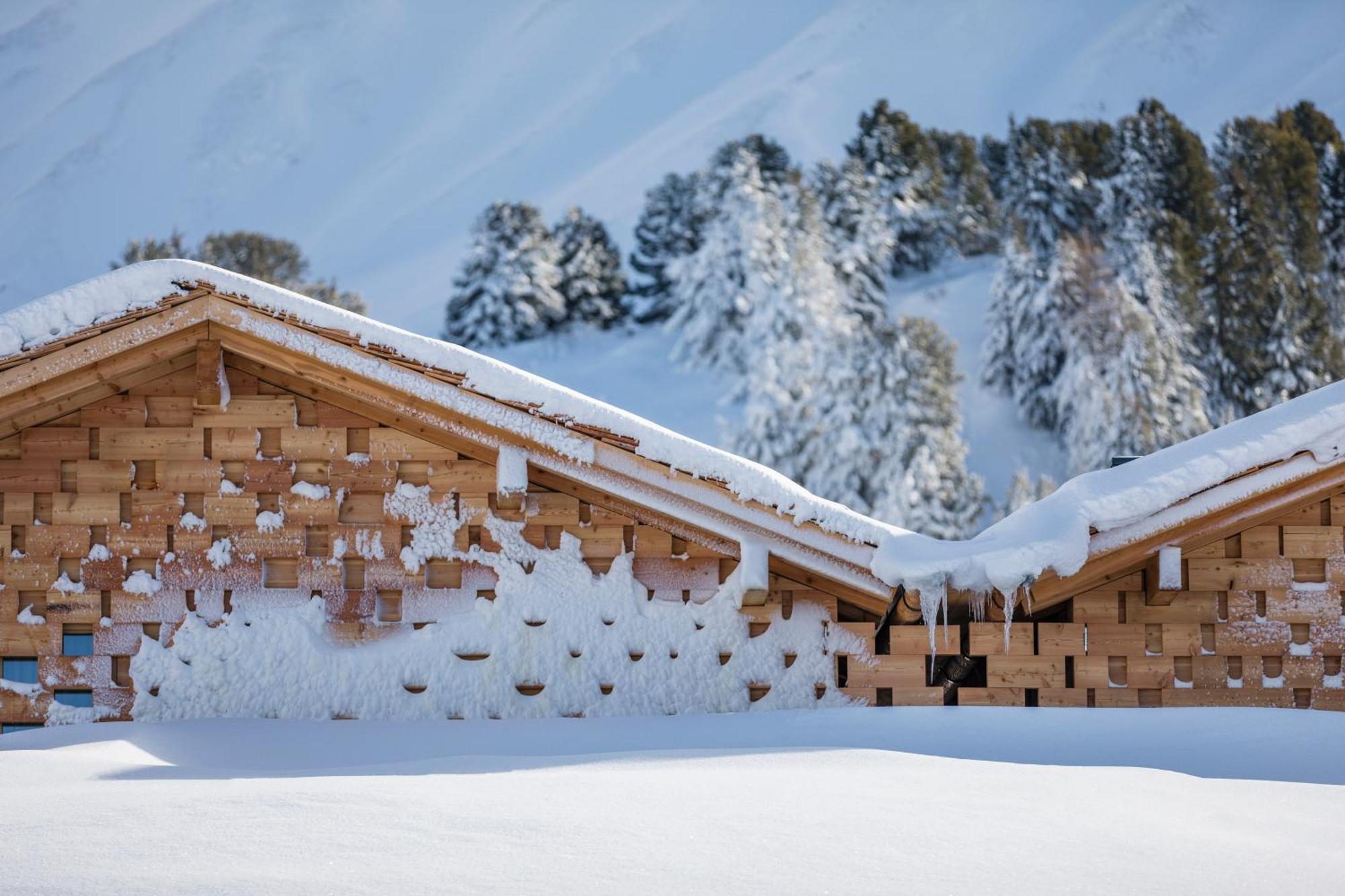 Zallinger Dolomites Alpe Di Siusi Eksteriør billede